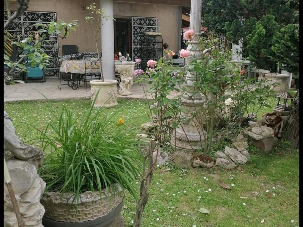 D'hote Cosy A Villepinte Séjour chez l'habitant